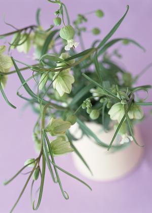 広島の家具選びに迷わない！2026年最新版のおすすめポイントと選び方ガイド